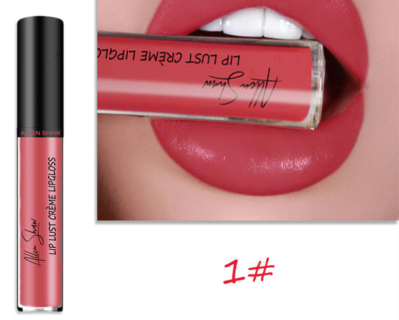 Silky Cream Texture Lip Gloss Aliexpress Shopee Cross-Border Exclusive Lip Glaze Lip Gloss Lipstick - Trendyglobal 