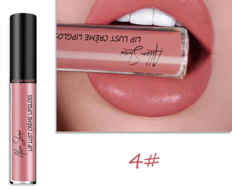 Silky Cream Texture Lip Gloss Aliexpress Shopee Cross-Border Exclusive Lip Glaze Lip Gloss Lipstick - Trendyglobal 