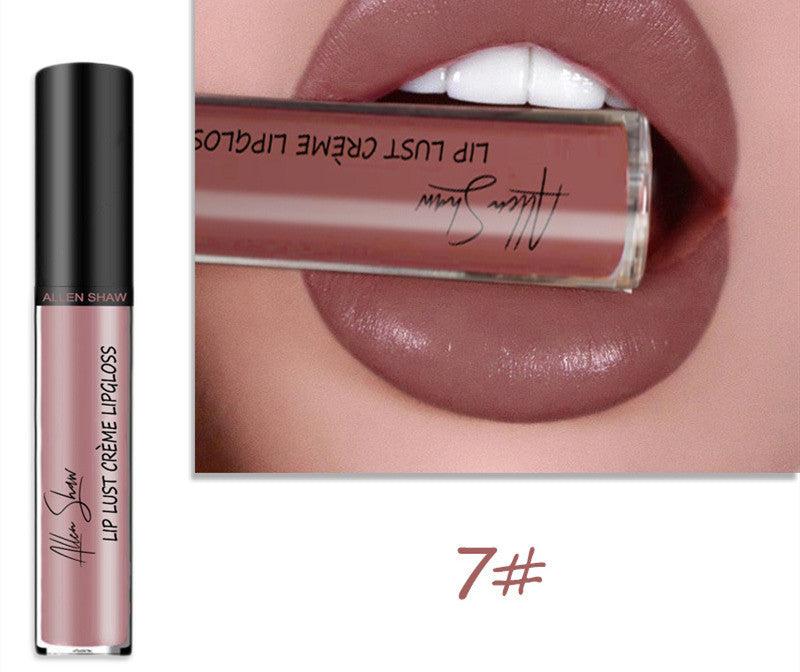 Silky Cream Texture Lip Gloss Aliexpress Shopee Cross-Border Exclusive Lip Glaze Lip Gloss Lipstick - Trendyglobal 