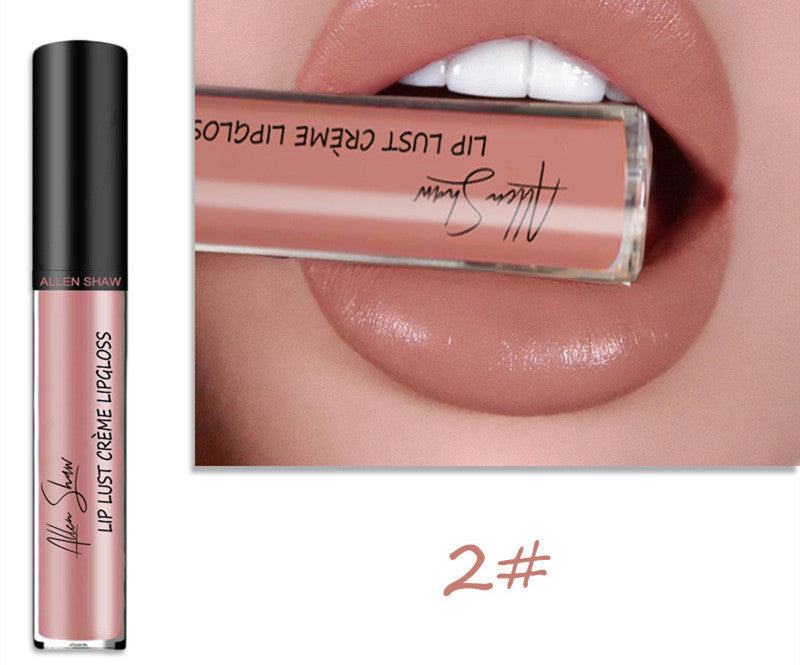 Silky Cream Texture Lip Gloss Aliexpress Shopee Cross-Border Exclusive Lip Glaze Lip Gloss Lipstick - Trendyglobal 