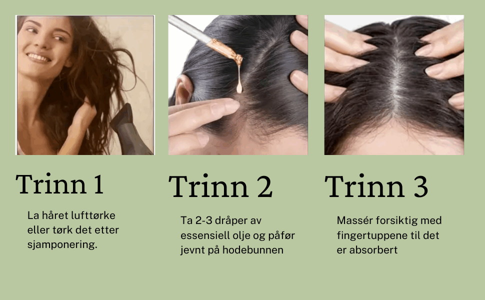 Mielle rosmarin hårolje, Hårpleiesett: olje, Hårmaske, Sjampo og Balsam