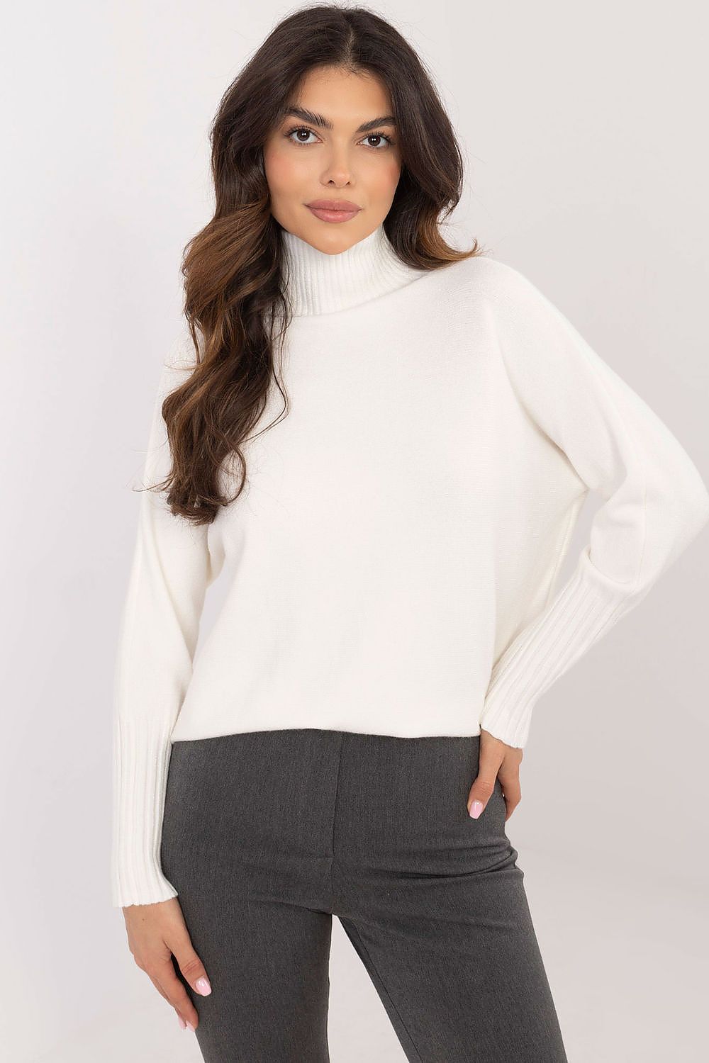 Turtleneck model 203025 BFG