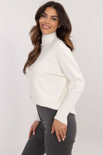 Turtleneck model 203025 BFG