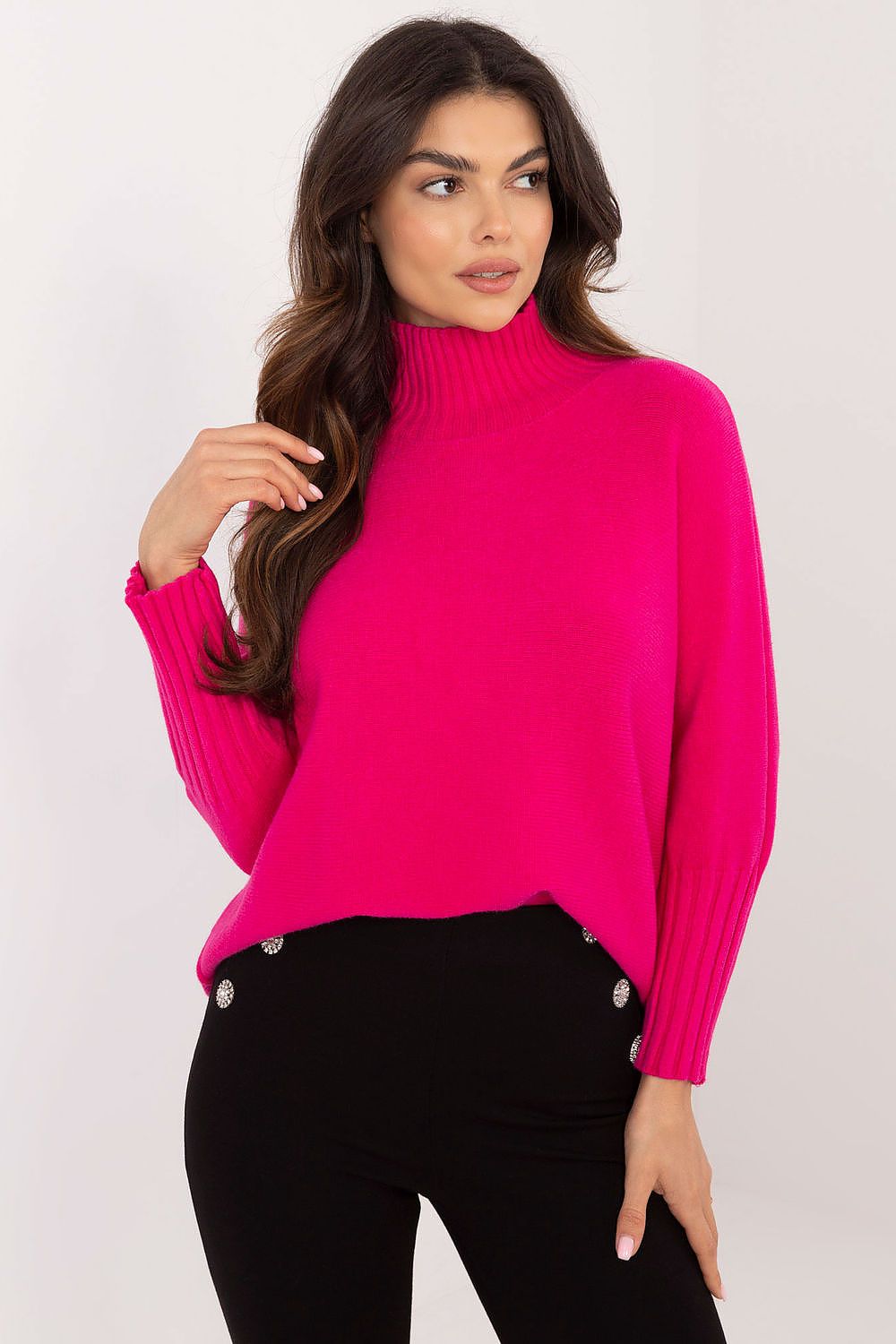 Turtleneck model 203025 BFG