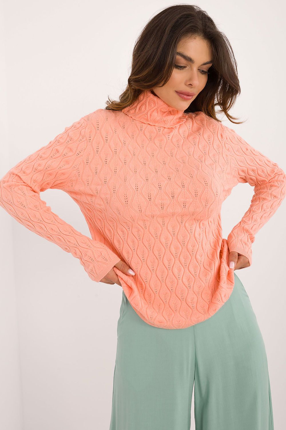 Turtleneck model 203189 AT - Trendyglobal 