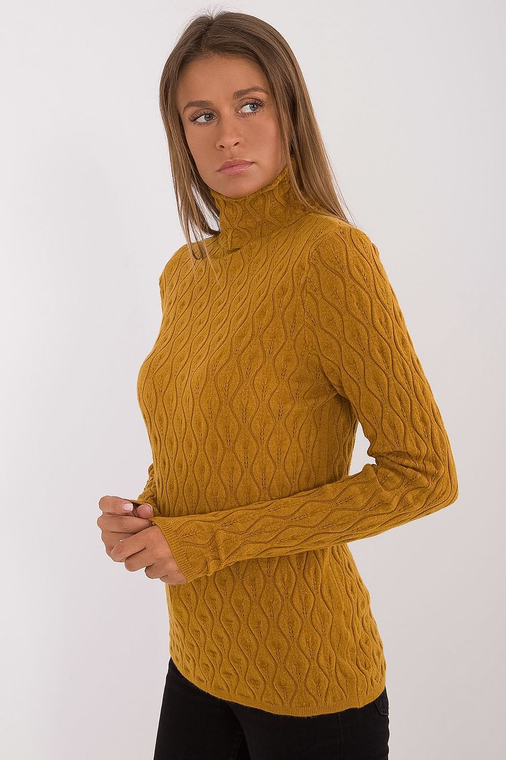 Turtleneck model 203195 AT - Trendyglobal 