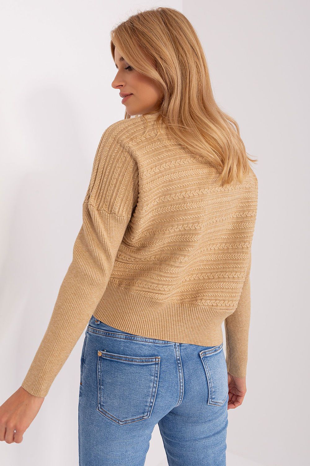 Jumper model 186573 AT - Trendyglobal 