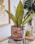 Handmade Contemporary Artisan Pottery Planter, Outdoor, Indoor, Front Yard Flower Pot - Trendyglobal 